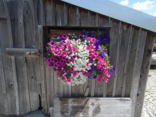 Aus Carlos Fotoalbum – Bild 3