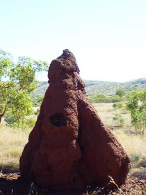 Australien - Reisebilder – Bild 14