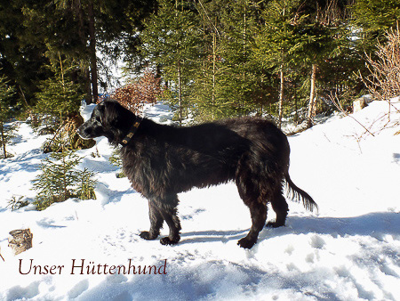 Bilder aus Plansee-Tirol – Bild 10
