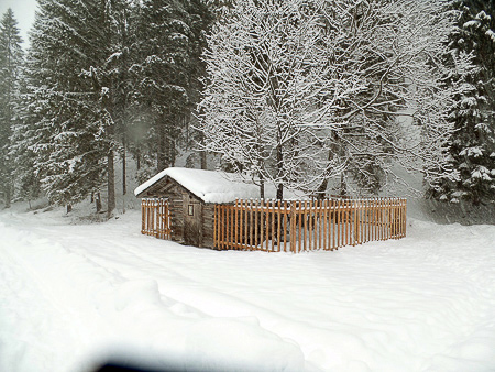 Bilder aus Plansee-Tirol – Bild 4