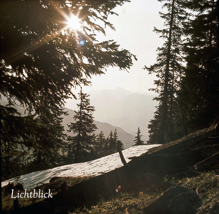 Bilder aus Plansee-Tirol – Bild 8