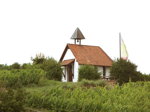 Aus Carlos Fotoalbum – Bild 18